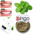 2021 Peppermint Tea Powder Herba Menthae Extract Powder